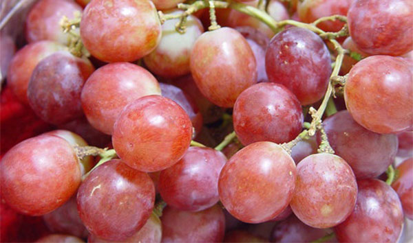 ����Ƥ���Գ��� ��������Ƥ����ɶӰ��